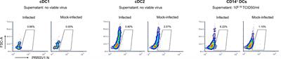 Interaction of Type 1 Porcine Reproductive and Respiratory Syndrome Virus With In Vitro Derived Conventional Dendritic Cells